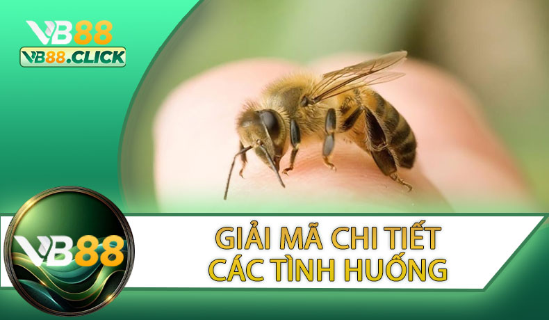 Giải Mã Chi Tiết Các Tình Huống Mơ Bị Ong Đốt