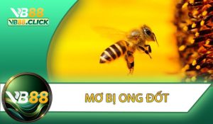 Mơ Bị Ong Đốt