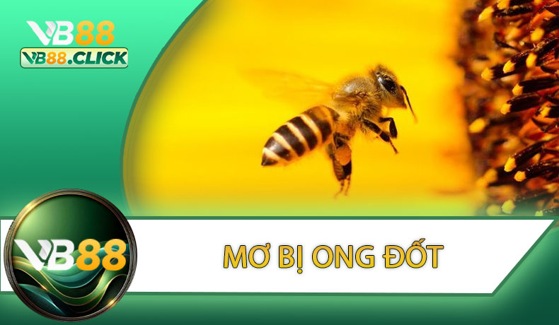 Mơ Bị Ong Đốt